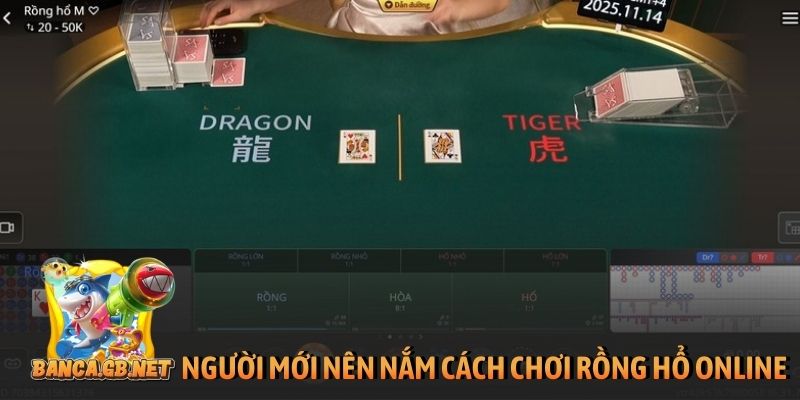 Cách chơi rồng hổ online dễ hiểu, áp dụng là thắng lớn 1 Người mới nên nắm chắc cách chơi rồng hổ online